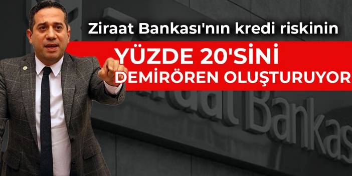 Ziraat Bankası'nın kredi riskinin yüzde 20'sini Demirören oluşturuyor