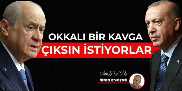 Okkalı bir kavga çıksın istiyorlar