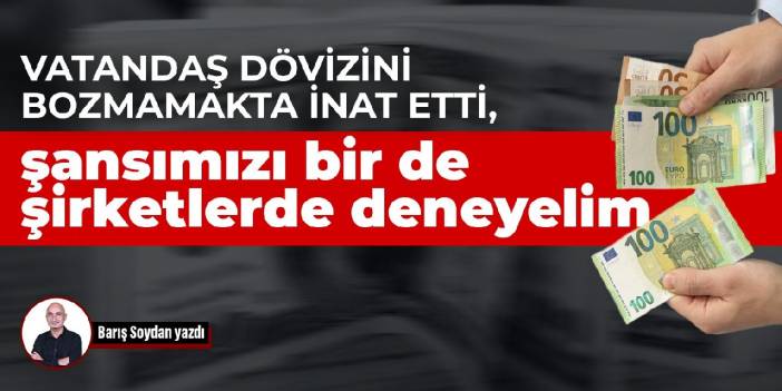 Vatandaş dövizini bozmamakta inat etti, şansımızı bir de şirketlerde deneyelim