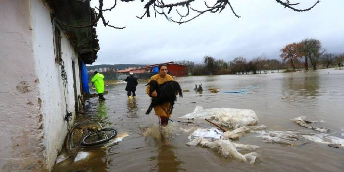 Köyceğiz Gölü taştı: Ahırları su bastı
