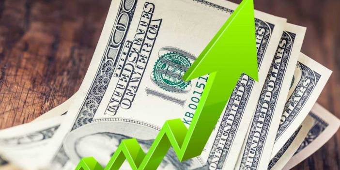 Kerim Rota'dan döviz kuru tahmini: Yukarı yönlü hareket kaçınılmaz