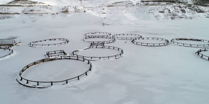 Van'da baraj gölü dondu