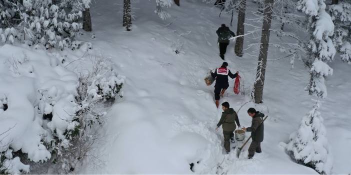 Yaban hayvanlarına soğuk havalarda yem desteği