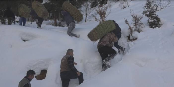 Kar yağışında hayvanlar unutulmadı