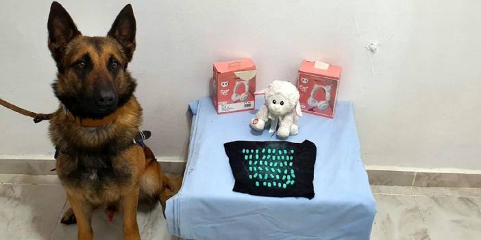 'Kuzu'dan uyuşturucu çıktı