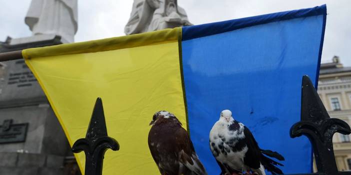 Ukrayna'dan vatandaşlarına sükunet çağrısı