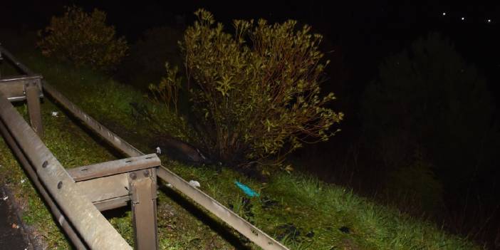 Kan donduran cinayette, valizden çıkan cesedin kimliği belli oldu