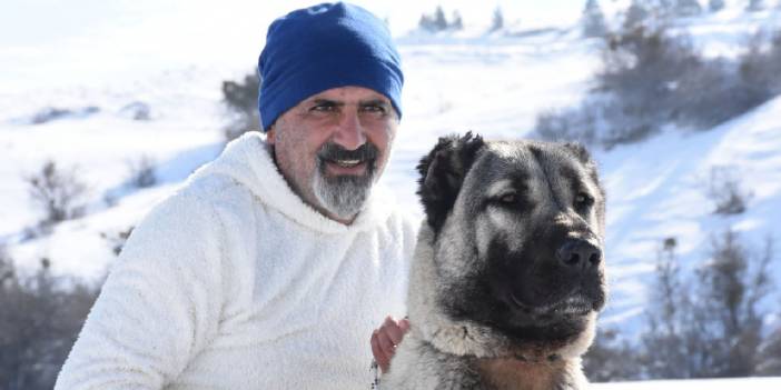 Kangallar insana yönelik 'öldür', 'saldır' veya 'ısır' komutuna uymuyor