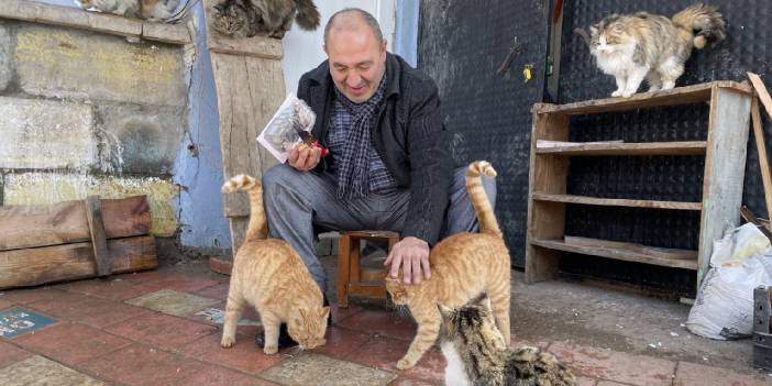 Soğuk kış günlerinde evini kedilere tahsis etti