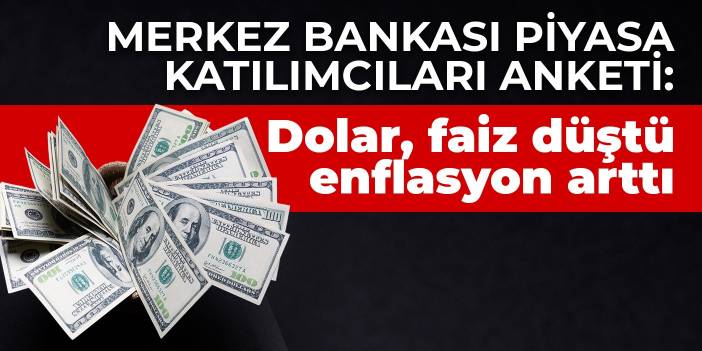 Merkez Bankası Piyasa Katılımcıları Anketi: Dolar, faiz düştü enflasyon arttı