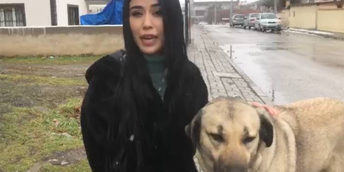 Erzincan’da, köpek katliamı: Tesadüfen görüntülendi