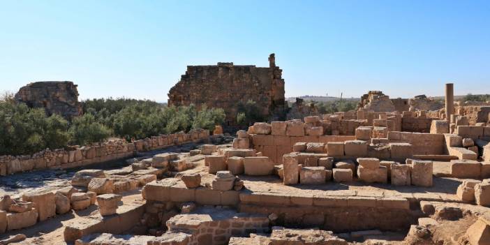 Dara Antik Kenti'nin zeytin üretim merkezi olduğu ortaya çıktı