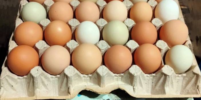 Yumurta fiyatları artmaya devam ediyor! Maliyet zamları KDV indirimini yuttu