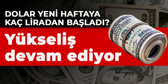 Dolar, yeni haftaya kaç liradan başladı?