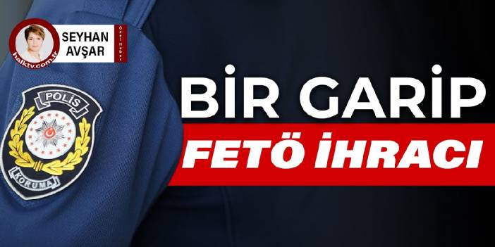 Bir garip ihracın perde arkası