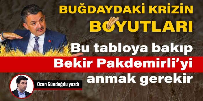 Buğdaydaki krizin boyutları