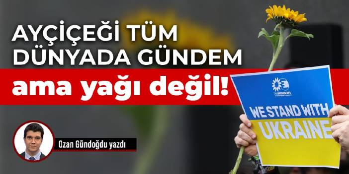 Ayçiçeği tüm dünyada gündem ama yağı değil!