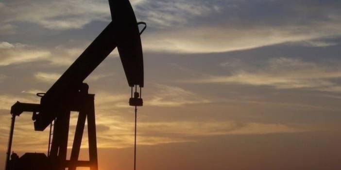 BAE: OPEC+ grubunun mekanizmasına bağlıyız