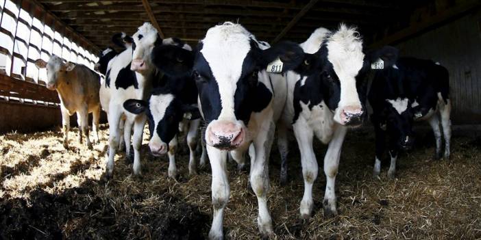 Ziraat Odaları: Bu uzun yıllardır görmediğimiz bir durum, tablo vahim