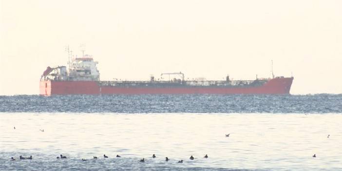 Ayçiçek yağı yüklü gemi Marmara Denizi'ne açıldı