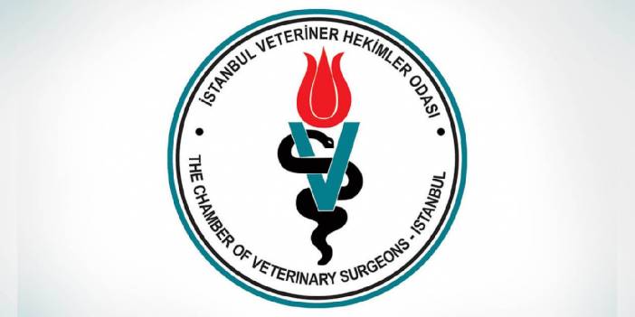 İstanbul Veteriner Hekimler Odası: Sorunların asıl nedenleriyle yüzleşmeden çözüm imkansızdır