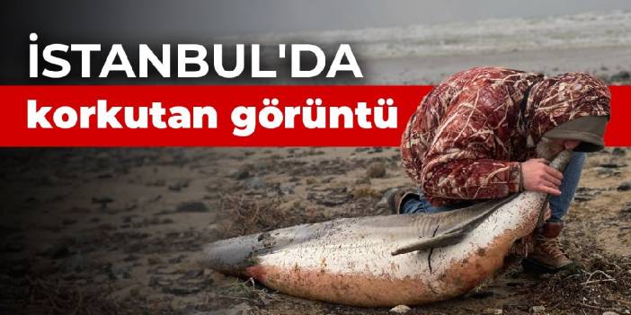 İstanbul'da korkutan görüntü