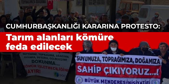 Cumhurbaşkanlığı kararına protesto: Zeytinlikler kömüre feda edilecek