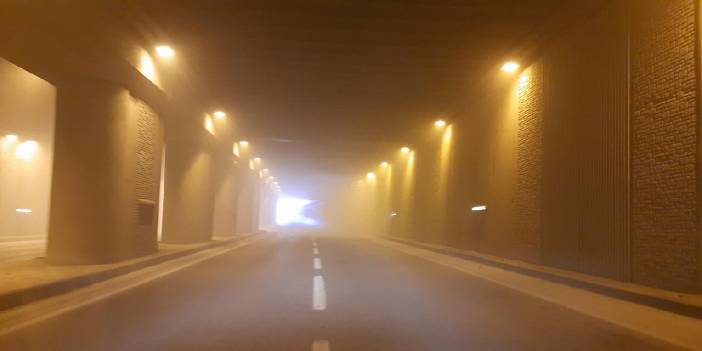 Sivrisinekle mücadele için sıktılar: Tünelde ulaşım durdu