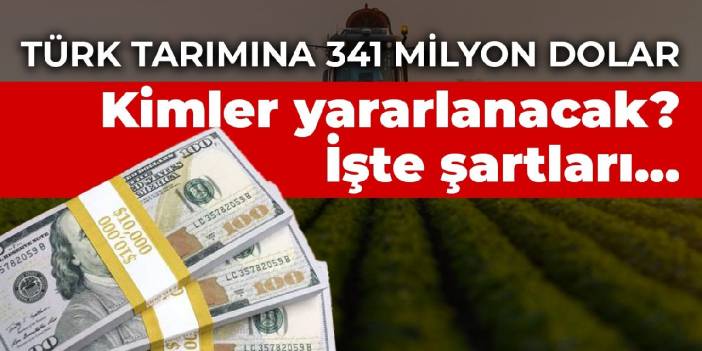 Türk tarımına 341 milyon dolarlık kredi! Kimler yararlanacak? İşte şartları...
