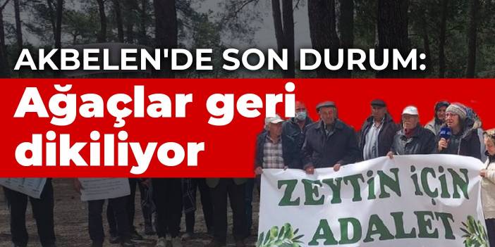 Akbelen'de son durum: Ağaçlar geri dikiliyor