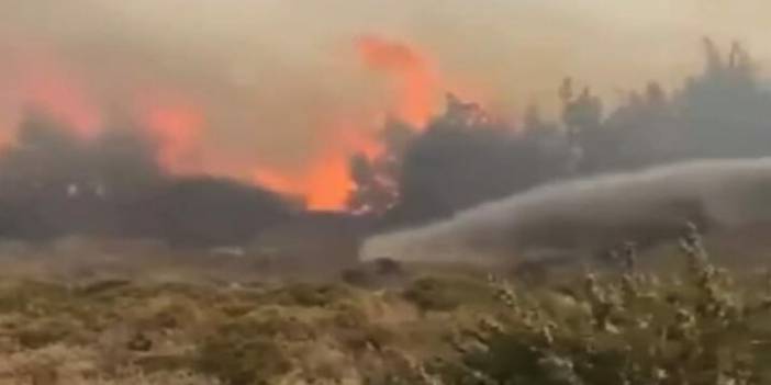 İzmir'in Çeşme ilçesinde yangın