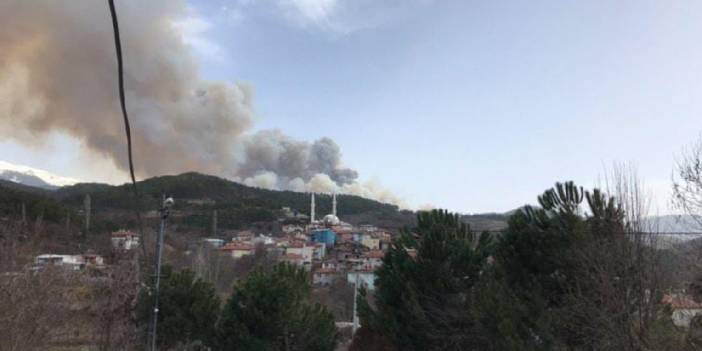 Bursa'da orman yangını