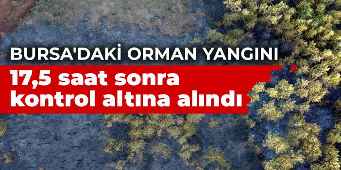 Bursa'daki orman yangını 17,5 saat sonra kontrol altına alındı