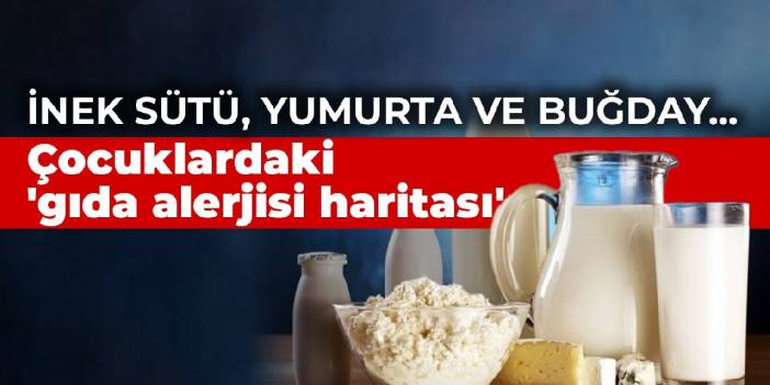 İnek sütü, yumurta ve buğday... Çocuklardaki 'gıda alerjisi haritası'