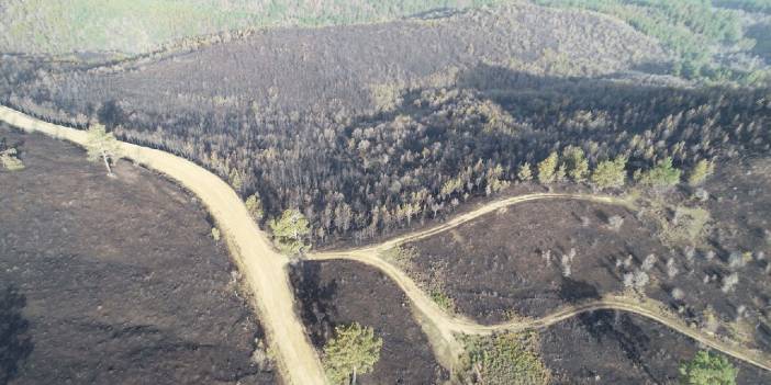Çanakkale'deki orman yangını 18 saatte kontrol altına alındı