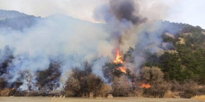 Çorum’da orman yangını; 11 hektar alan zarar gördü