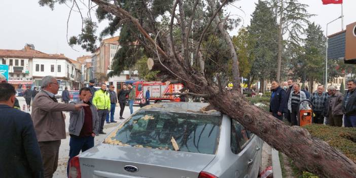 Fırtınada devrilen ağaç, otomobilin üzerine düştü
