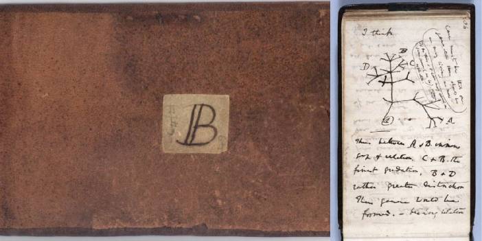 Darwin’in kayıp defterleri, 22 yıl sonra bulundu