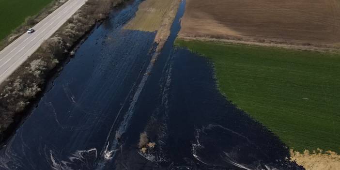 Edirne'de çevre felaketi! Tarım alanlarına yayıldı