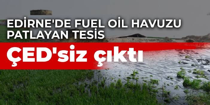 Edirne'de fuel oil felaketinden çevre skandalı çıktı