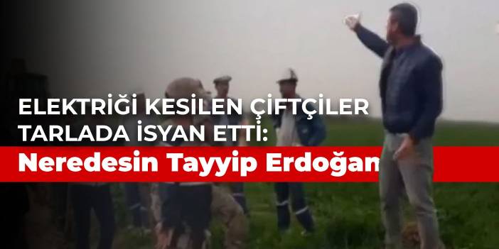 Elektriği kesilen çiftçiler tarlada isyan etti: Neredesin Tayyip Erdoğan