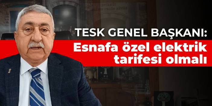 TESK Genel Başkanı: Esnafa özel elektrik tarifesi olmalı