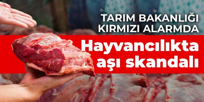 Tarım bakanlığı kırmızı alarmda! Hayvancılıkta aşı skandalı