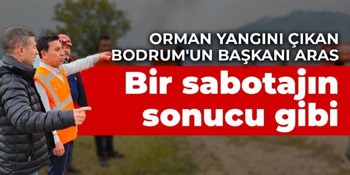 Orman yangını çıkan Bodrum'un Başkanı Aras: Bir sabotajın sonucu gibi