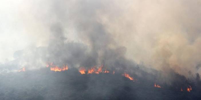 Mersin'deki orman yangını söndürüldü