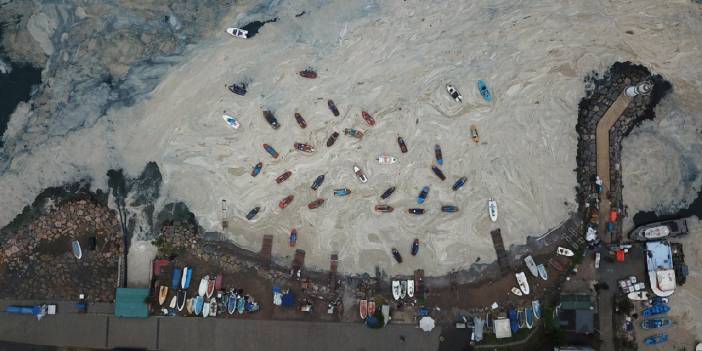 'Müsilaj yakıt ya da gübre olarak kullanılamaz'