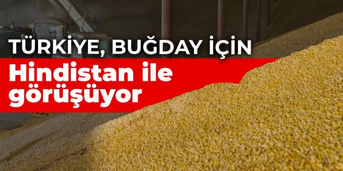 Türkiye, buğday için Hindistan ile görüşüyor