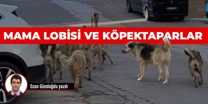 Mama lobisi ve köpektaparlar