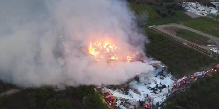 Yalova'da kereste fabrikası kül oldu