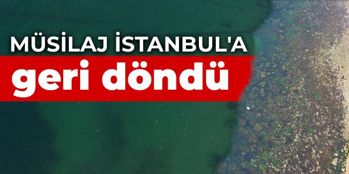 Müsilaj İstanbul'a geri döndü